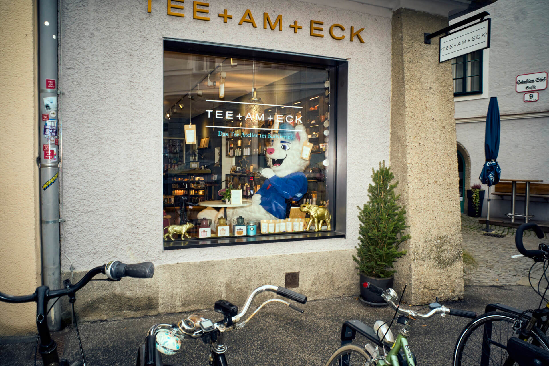 Fotoshooting, Fotografie, Suzuki, Snowfox, Fotograf, Chris Rogl, Fotograph, Shooting, Werbeagentur, Christian Rahofer
